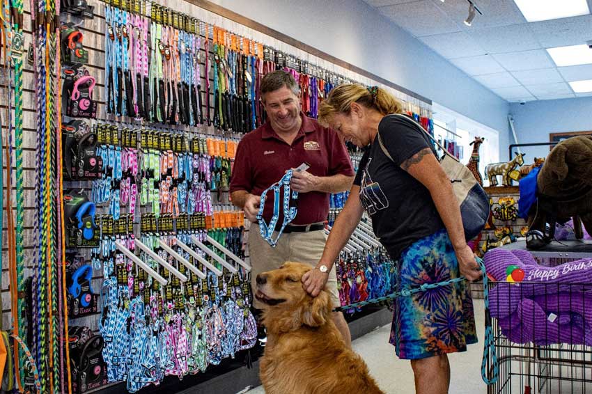Four Your Paws Only is a pet supply store